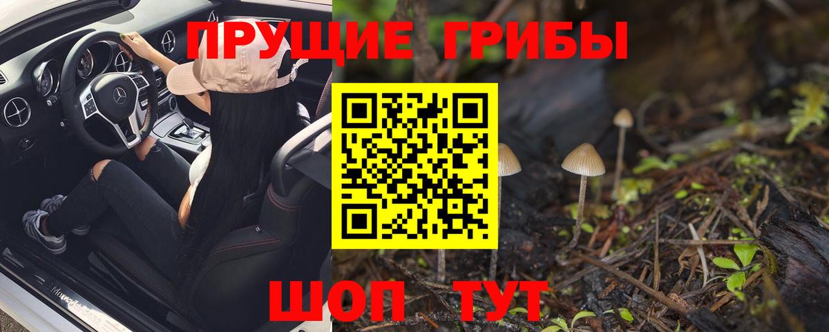 Галлюциногенные грибы Psilocybine cubensis  Вход с VPN  Новошахтинск  Псилоцибиновые грибы мицелий 